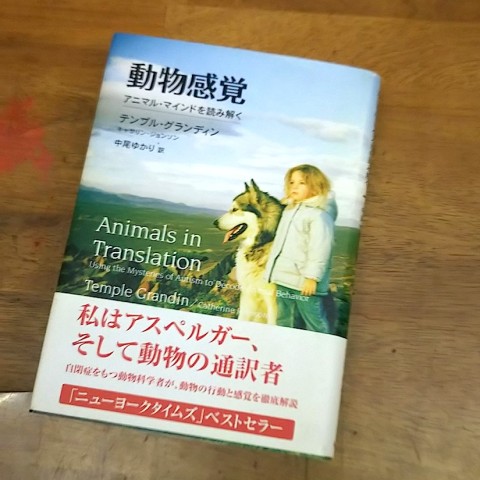 テンプル・グランディン著『動物感覚 アニマル・マインドを読み解く ...